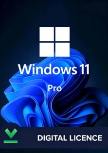 Windows 11 Pro OEM Key