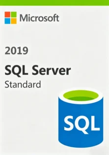 SQL Server 2019 Standard Key
