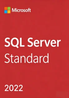 SQL Server 2022 Standard Key