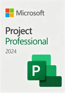 Project 2024 Professional Key