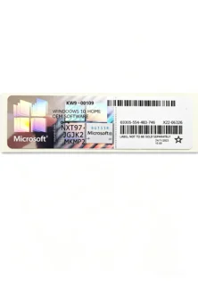 Windows 10 Home COA Sticker-Silver